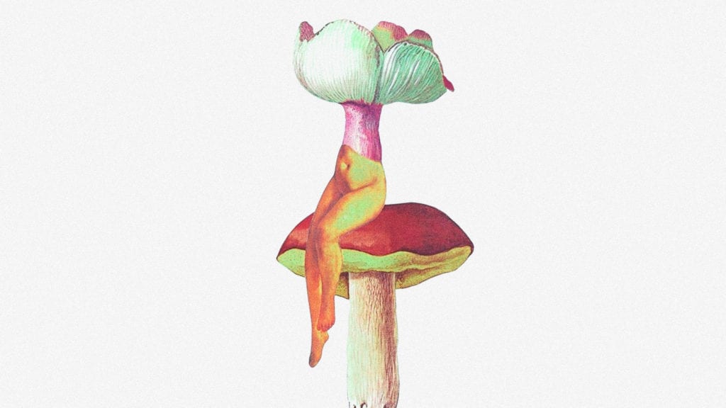 Is it Safe to Mix Magic Mushrooms and MDMA? | Magic Mushrooms 101 | My Supply Co. A collage art of a woman's body sitting on a mushroom toadstool.