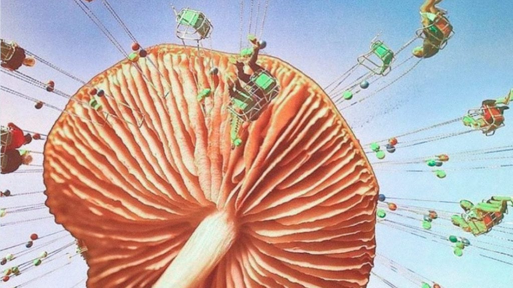 A collage art of a magic mushroom with people hanging off it, a concept of a ferris wheel. It describes microdosing and choosing a mushroom strain