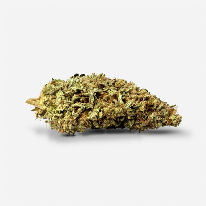UBC Chemo Indica Cannabis Strain from Online Dispensary in Canada | My Supply Co.