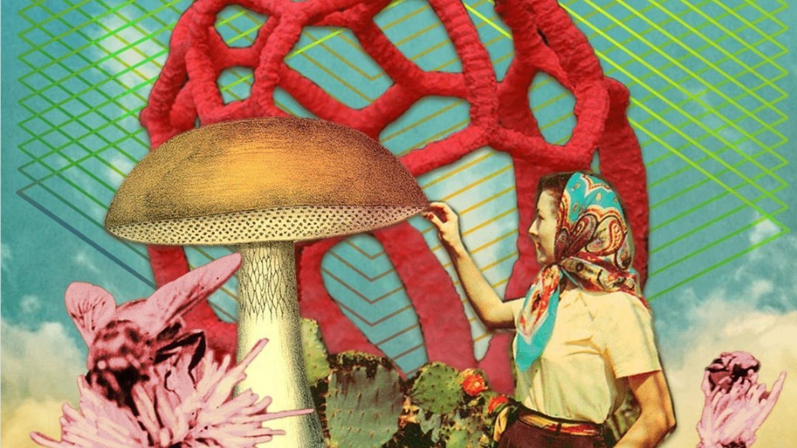 A collage art of a veiled woman touching a magic mushroom.