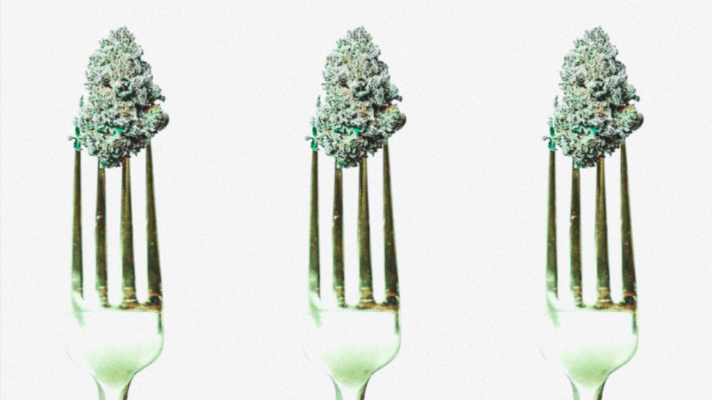 A photograph of three forks, each with a piece of cannabis stuck to the prongs.