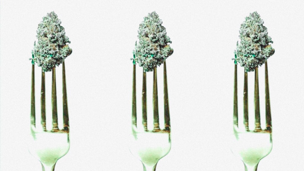 How to Make Cannabis Cooking Oil | Recipes | My Supply Co. A photograph of three forks, each with a piece of cannabis stuck to the prongs.
