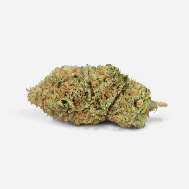 Critical Mass Indica Strain Canada