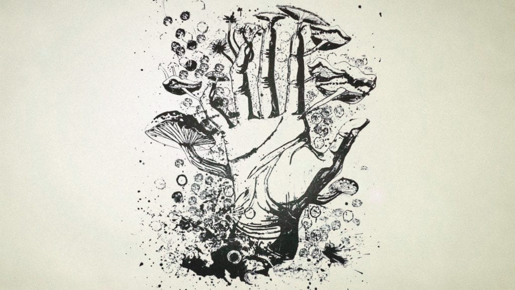 Magic Mushrooms and Penicillin Allergies: Is it Safe? | Wellness | My Supply Co. An illustration of a hand with different kinds of mushrooms growing out of the fingers and through the finger tips.