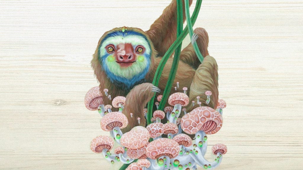 A painting of a sloth hanging off vines attached to unusual looking magic mushrooms.