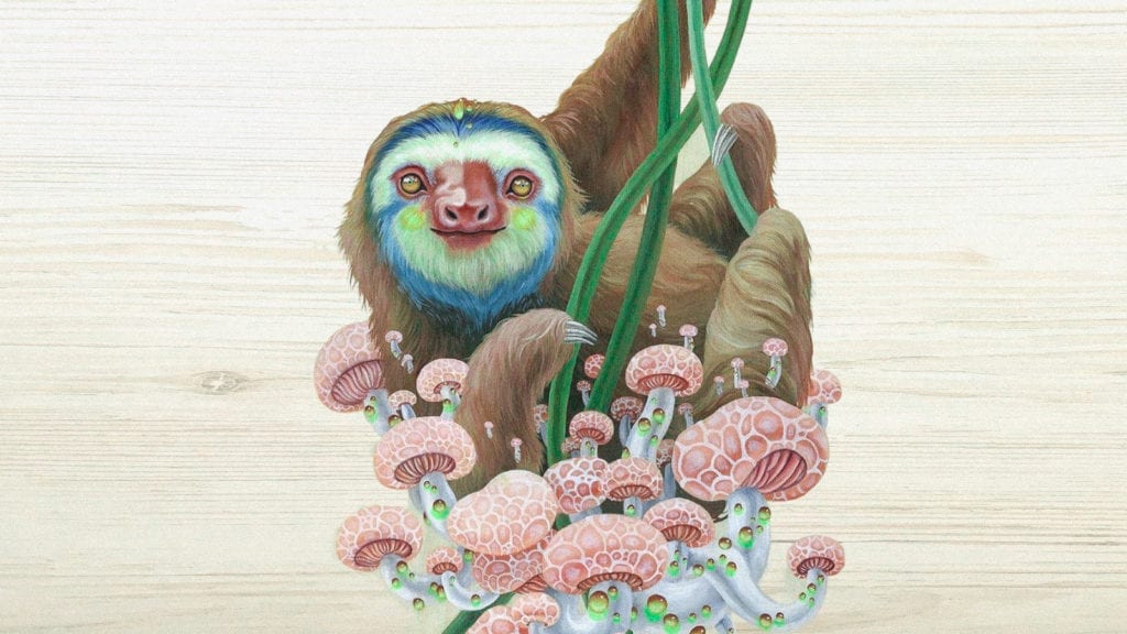 Magic Mushrooms and Penicillin Allergies: Is it Safe? | Wellness | My Supply Co. A painting of a sloth hanging off vines attached to unusual looking magic mushrooms.