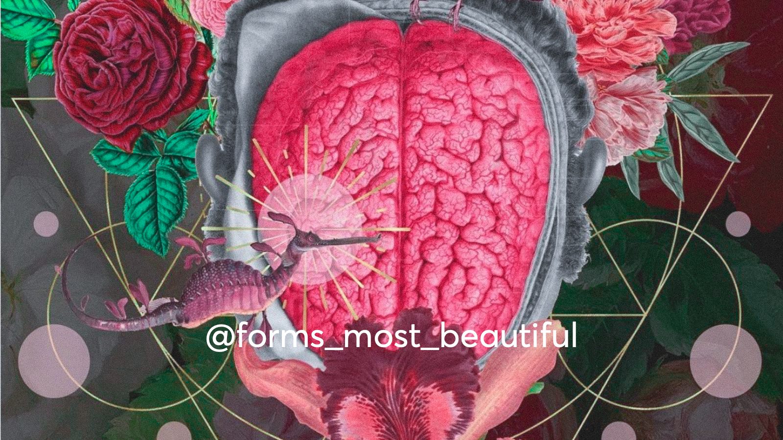 A collage art of a brain surrounded by flowers and psychedelic symbols, a concept of neuroplasticity.