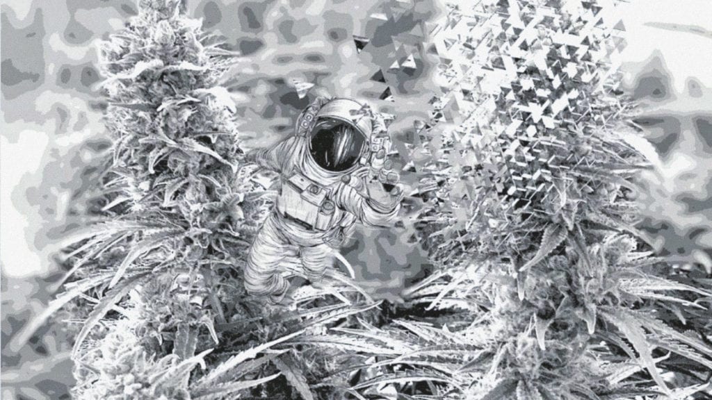 A digital artwork of an astronaut floating between two massive cannabis buds.