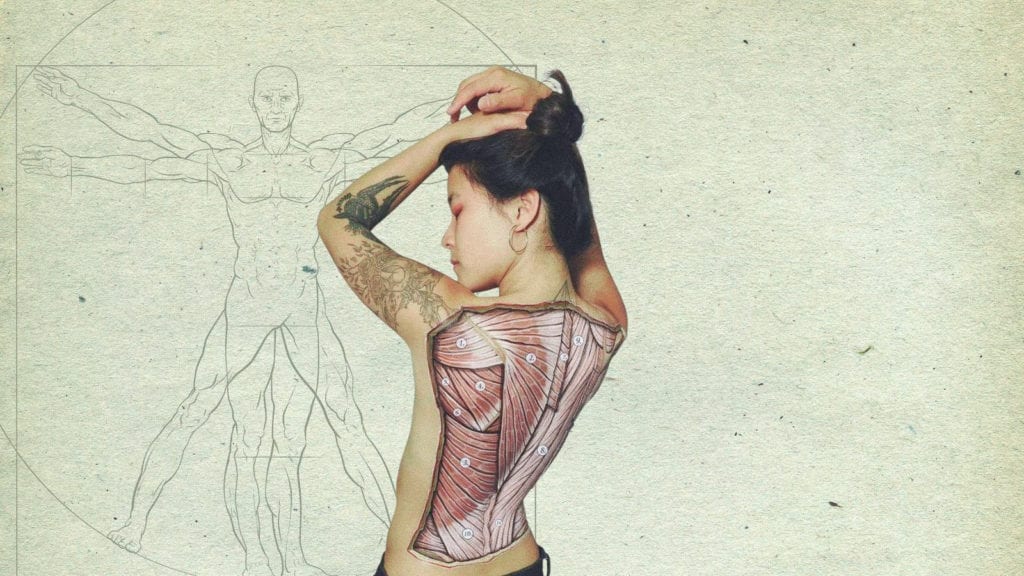 A photograph of a woman with muscles painted and drawn on her back representing anatomy and massage.