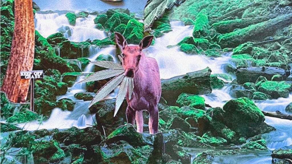 A collage art of a cow with a weed leaf in its mouth, standing in a stream surrounded by rocks, logs, and moss.