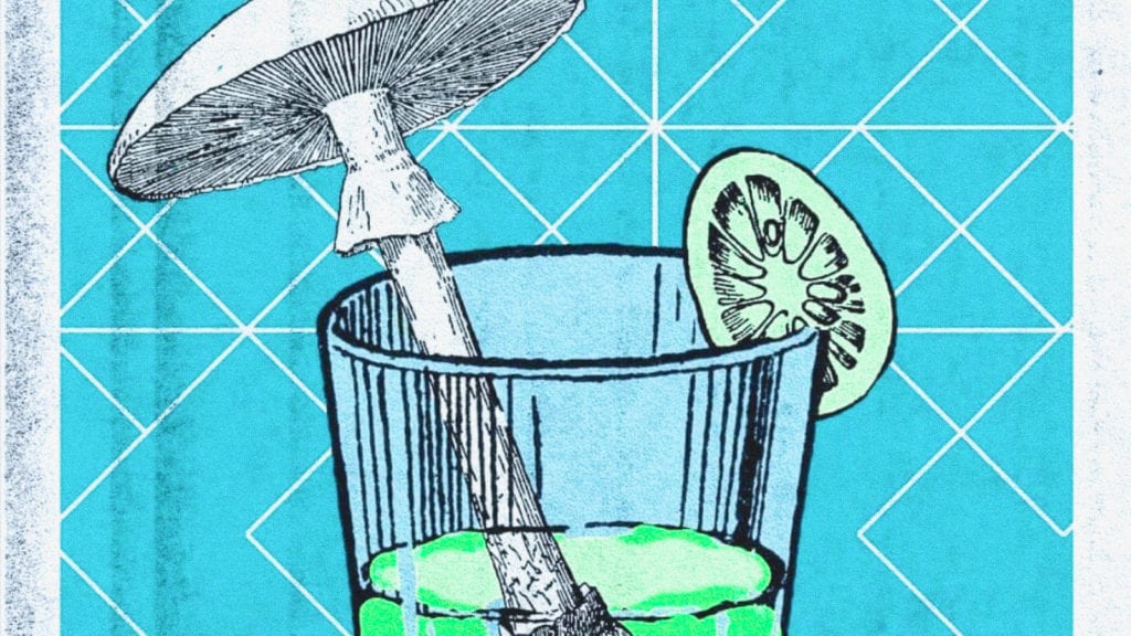 An illustration of a glass of lemon juice with a mushroom standing up inside it and a lemon wedge on the edge of the glass. A concept of how to lemon tek magic mushrooms.