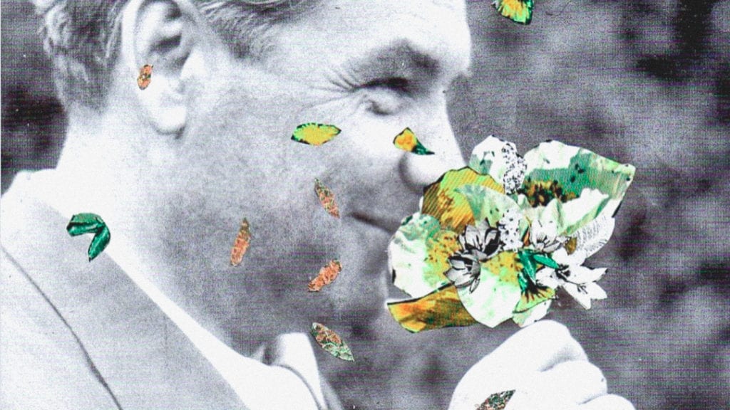 Psilocybin and Neuroplasticity: The Science and FAQs | Wellness | My Supply Co. A collage art of a man in black and white holding a colourful yellow and green flower. A concept of the everyday magic mushroom user.