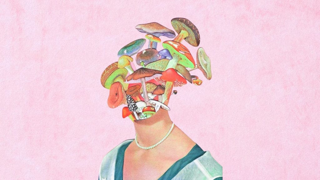 Psilocybin and Neuroplasticity: The Science and FAQs | Wellness | My Supply Co. A collage art of a woman whose face has been replaced by a variety of magic mushrooms. A concept of magic mushrooms and neuroplasticity.