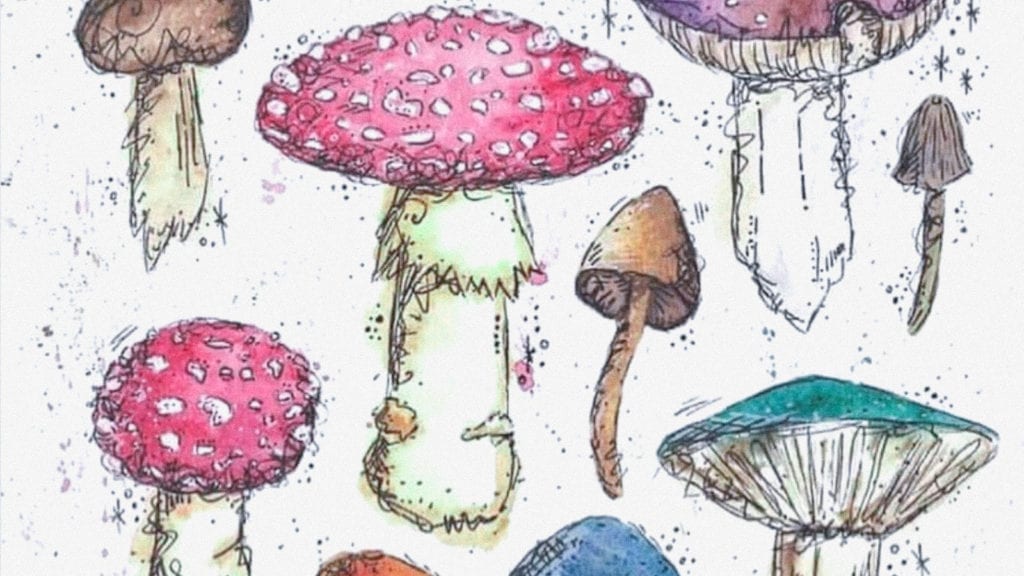 An illustration of different species of hallucinogenic and non-hallucinogenic psychedelics and mushrooms.