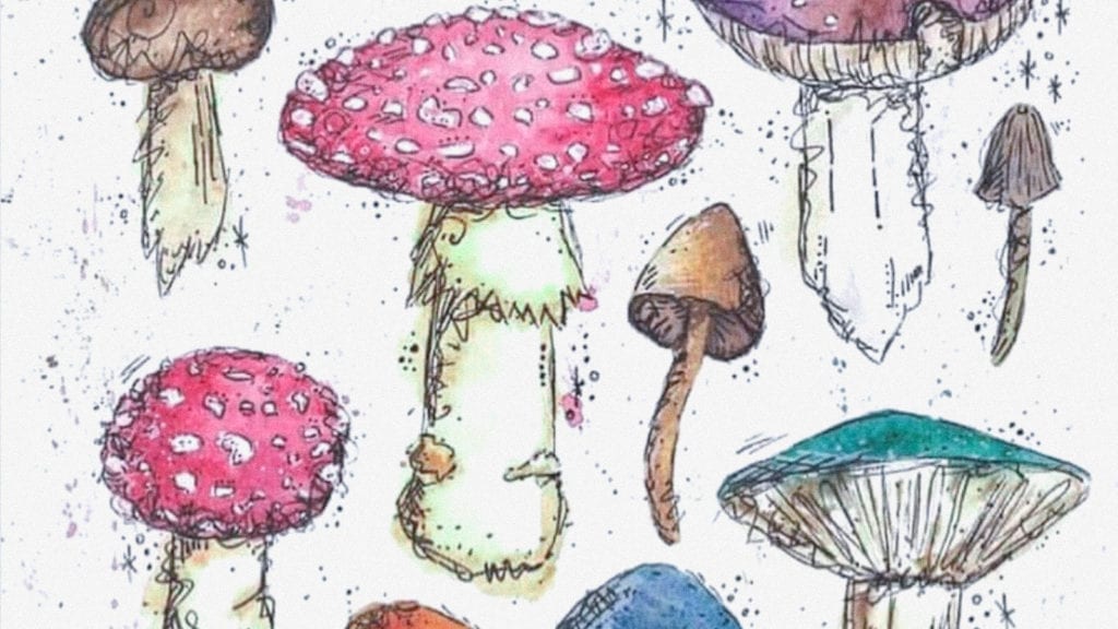 Scientists Hone in on Non-Hallucinogenic Psychedelics: What’s the Point? | Magic Mushrooms 101 | My Supply Co. An illustration of different species of hallucinogenic and non-hallucinogenic psychedelics and mushrooms.