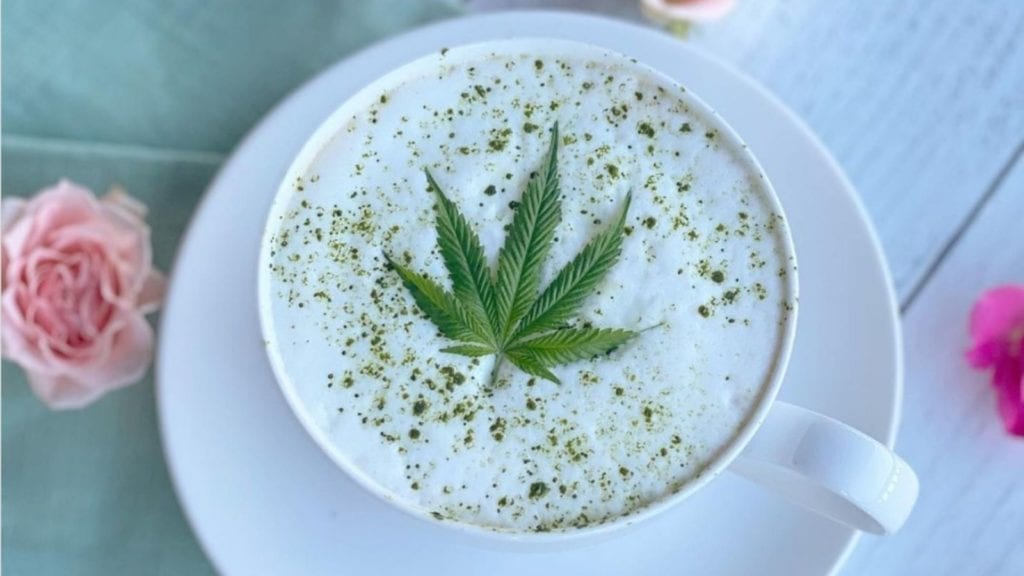 A cup of perfectly frothed cannabis-infused milk for an article on how to make spiced cannabis milk