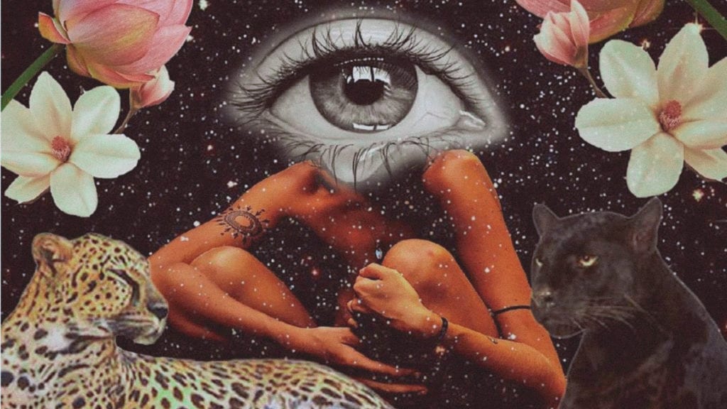 The “Bad Trip” - Why it Happens and How to Avoid it | Magic Mushrooms 101 | My Supply Co. A collage art depicting a person sitting with a cheeta next to them and a giant eye for a head.