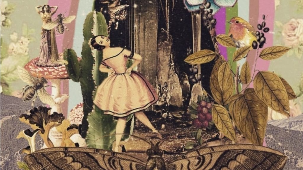 The “Bad Trip” - Why it Happens and How to Avoid it | Magic Mushrooms 101 | My Supply Co. A collage art depicting a woman dancing among several plants, trees, and birds, a trippy collage art depicting magic mushroom effects.
