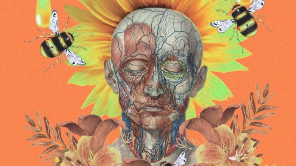 Digital collage depicting an Alex Grey face surrounded by bees and sunflowers.