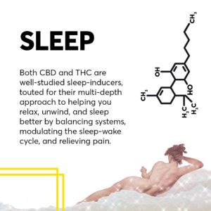 Endoctrination Series vol. 4: Cannabis and Sleep | Research | My Supply Co.