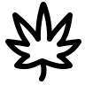 Locally Grown Organic Cannabis and Hemp