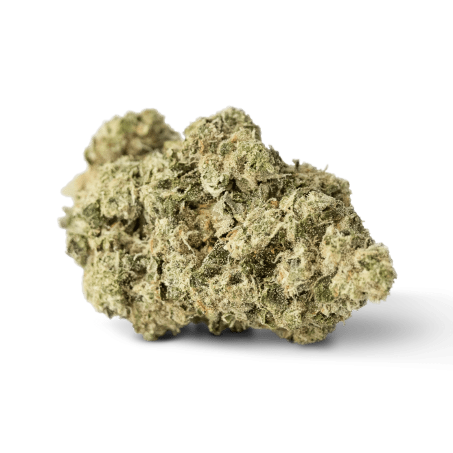 Consciously Curated Grape Stomper Sativa | My Supply Co.