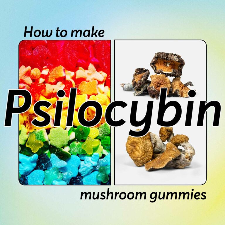 Image of Magic Mushrooms and Gummies for Article on How to Make Psilocybin Mushroom Gummies