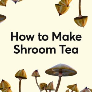 Image of Psilocybin Mushrooms for article on How to Make Shroom Tea
