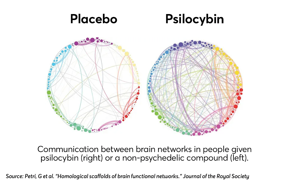 Psilocybin and Neuroplasticity: Communication between brain networks in people given psilocybin (right) or a non-psychedelic compound (left).