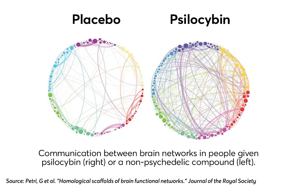 Psilocybin and Neuroplasticity: The Science and FAQs | Wellness | My Supply Co. Psilocybin and Neuroplasticity: Communication between brain networks in people given psilocybin (right) or a non-psychedelic compound (left).