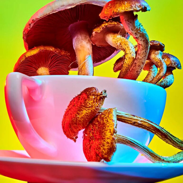 Image of Mushroom Tea for Article on How to Hide the Taste of Psilocybin Mushrooms