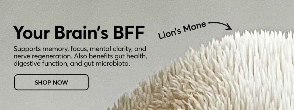Lion's Mane Banner with the following text: Supports memory, focus, mental clarity, and nerve regeneration. Also benefits gut health, digestive function, and gut microbiota.