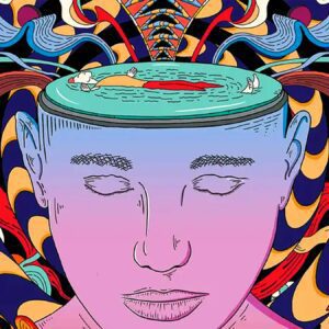 Illustration of a Calm Mind Amid Chaos for article Microdosing for ADHD