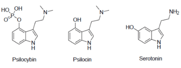 Chemical structure of psilocybin, psilocin, and serotonin for article on microdosing for ADHD