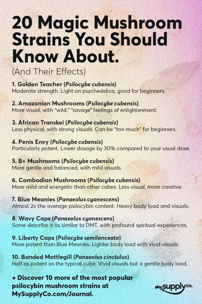 An infographic of 20 magic mushroom strains you should know about  for a magic mushroom dosage guide