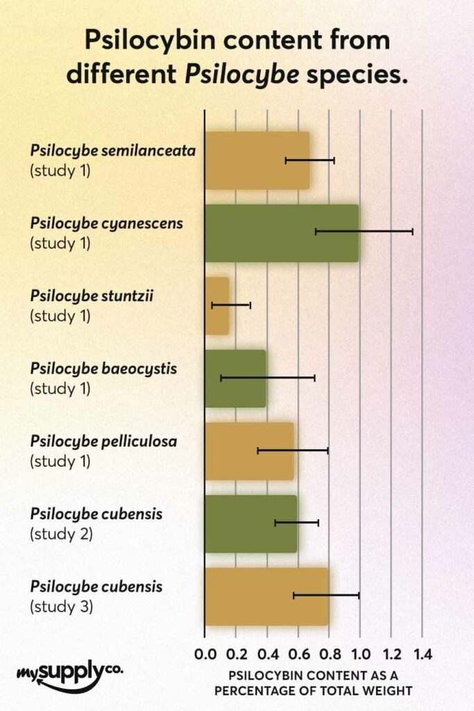 Psilocybin content from different samples of Psilocybe magic mushrooms as a percentage of total weight for a guide on how to dose magic mushrooms