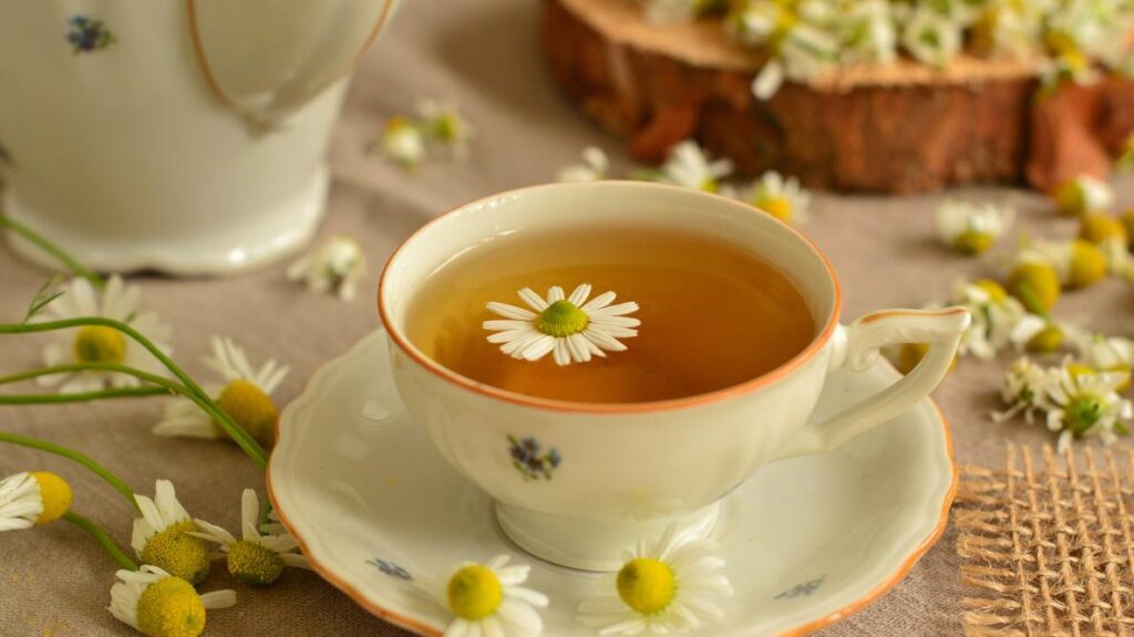 3 CBD Tisane Recipes for Soothing Your Anxiety | Recipes | My Supply Co. A photograph of CBD, chamomile, and californian poppy tea for treating nervous anxiety for an article with 3 CBD tisane recipes for soothing your anxiety