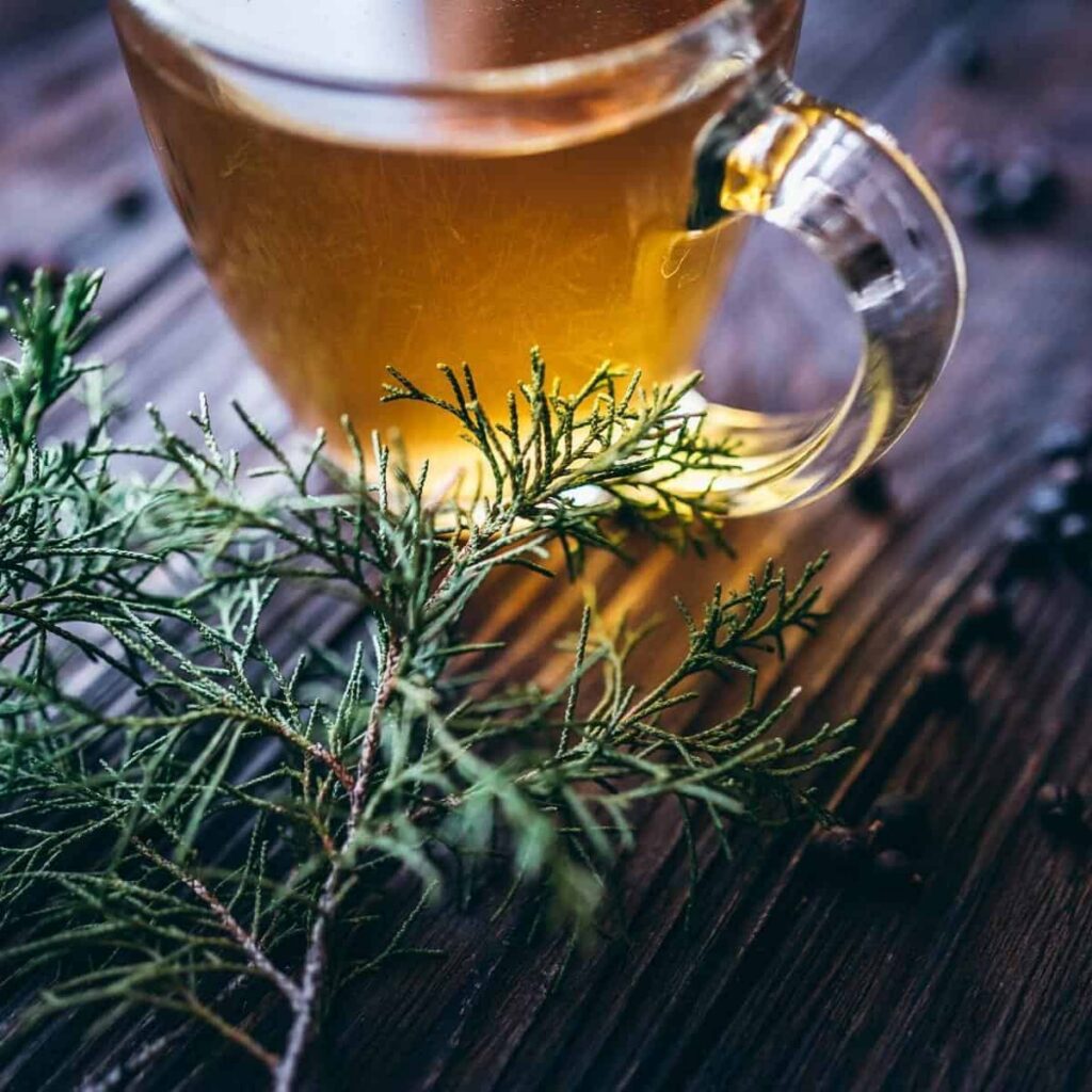 A photograph of CBD, juniper berries, & valerian root tea for treating fearful anxiety for an article with 3 CBD tisane recipes for soothing your anxiety