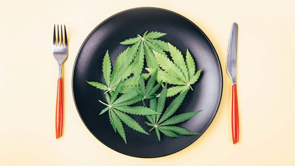 How to Make Cannabis-Infused Spiced Milk (with CBD or THC) | Recipes | My Supply Co. Photograph of a plate with cannabis leves on it with a fork and knife placed to the left and right, respectively, for an article on how to make spiced cannabis milk