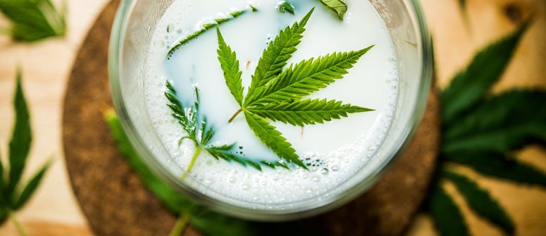 A photograph of cannabis milk for a recipe article on how to make spiced cannabis milk
