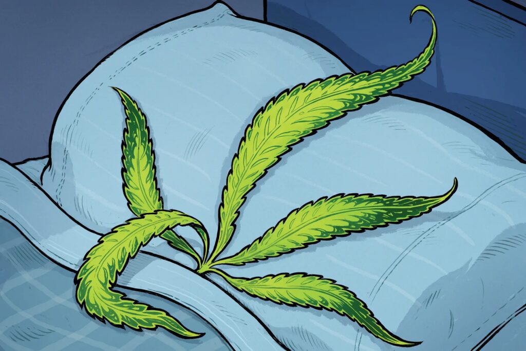 Illustration of canabis leaf in bed for an article on CBN for sleep