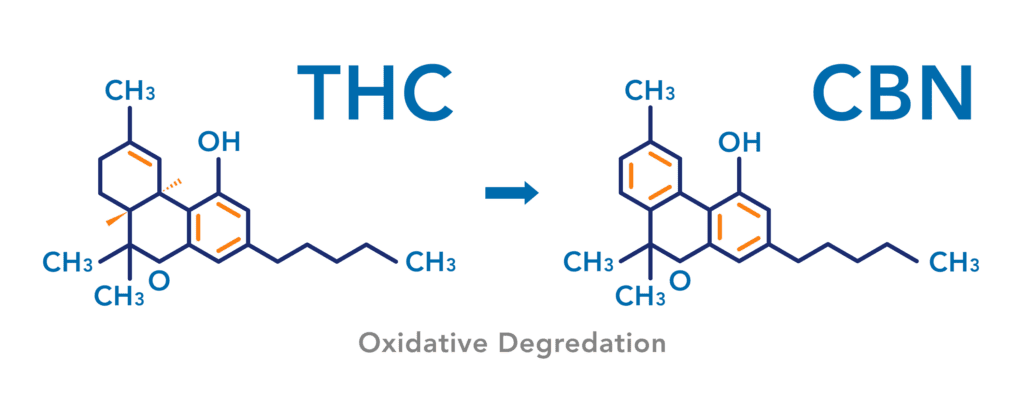 How THC converts to CBN