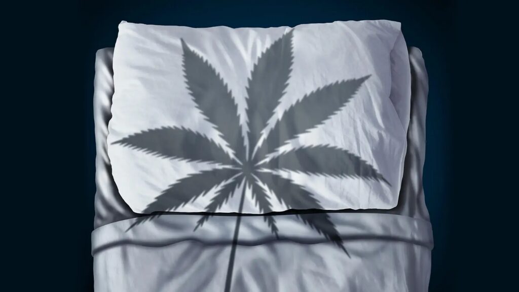 Silhouette of cannabis plant against a bed, ominously implying that cannabis can be bad for sleep