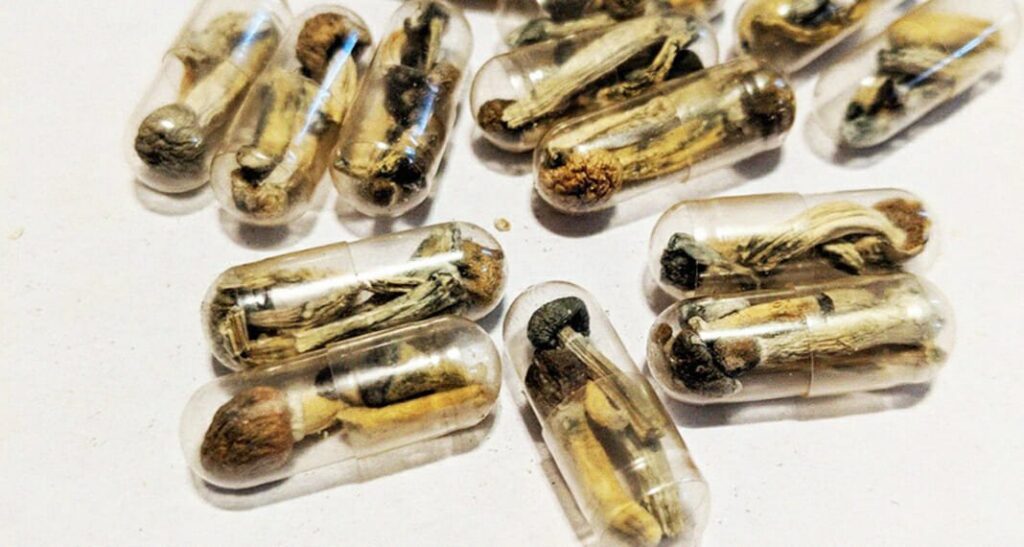 Image of tiny magic mushroom capsules for an article on how to prepare for your magic mushroom trip