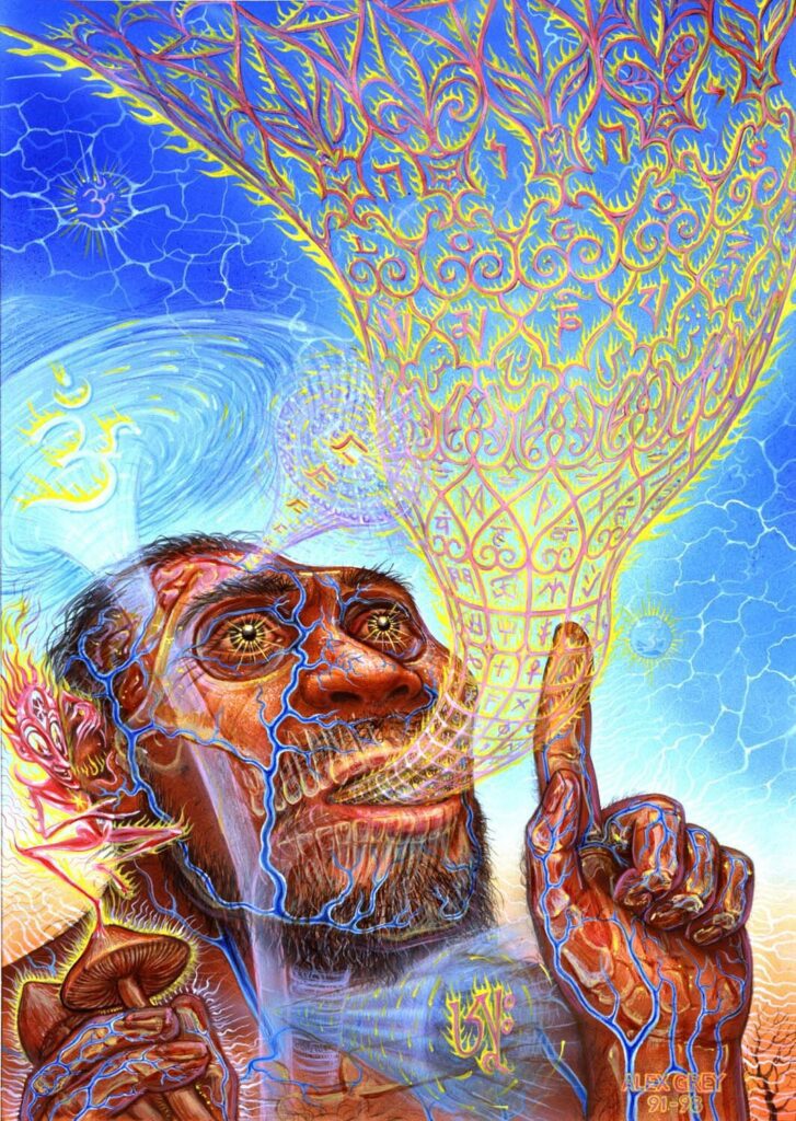The Visionary Origin of Language by Alex Grey for article on how to prepare for your magic mushroom trip