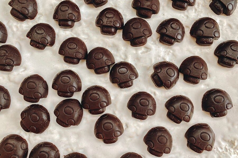 6 Ways to Hide the Taste of Magic Mushrooms | Magic Mushrooms 101 | My Supply Co. Photograph of magic mushroom chocolates for article on how to hide the taste of magic mushrooms