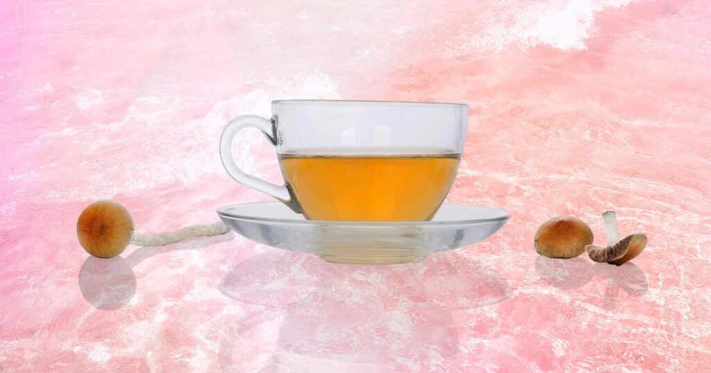 How to Make Shroom Tea: The Ultimate Mushroom Tea Guide | Living | My Supply Co. Cup of mushroom tea for our guide on how to make magic mushroom tea