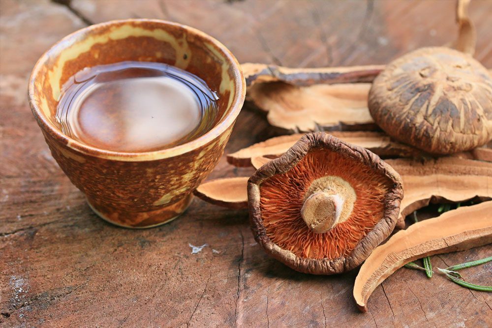 How to Make Shroom Tea: The Ultimate Mushroom Tea Guide | Living | My Supply Co. A photograph of magic mushroom tea for our guide on how to make magic mushroom tea