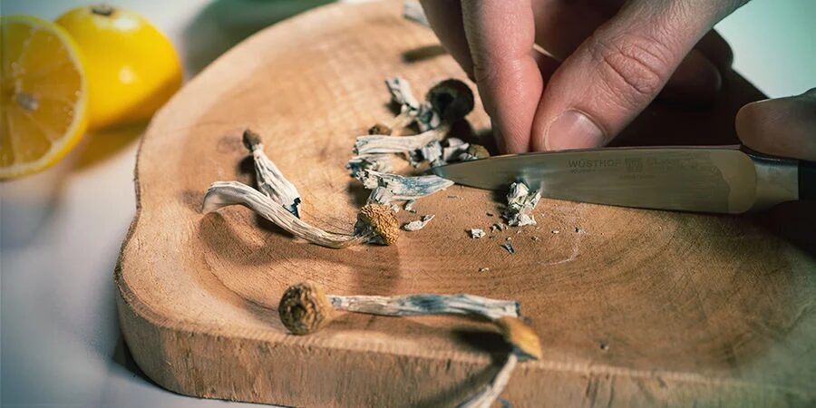 How to Make Shroom Tea: The Ultimate Mushroom Tea Guide | Living | My Supply Co. Photograph of somebody preparing to lemon tek by grinding magic mushrooms up with lemons in the background for a guide to making magic mushroom tea