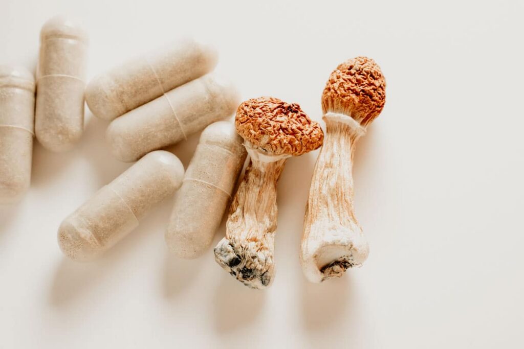 How to Make Shroom Tea: The Ultimate Mushroom Tea Guide | Living | My Supply Co. Image of tiny magic mushrooms and capsules for a guide to making magic mushroom tea